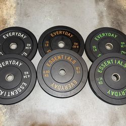 PRICE FIRM 10 lb Pair, 15 lb Pair, and 25 lb Pair, Black Bumper Weight Plate Set - BRAND NEW