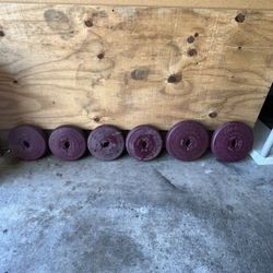 Workout Weights 