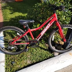 Giant Boulder Jr. Kids Mountain Bike – 24” Wheels