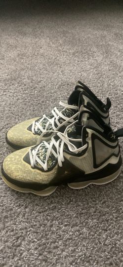 Lebron 19 Size 8 M