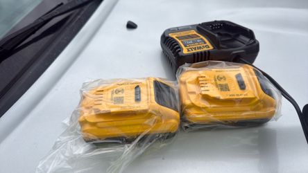 Dewalt 2 xr4 batteries and charger brand new $140