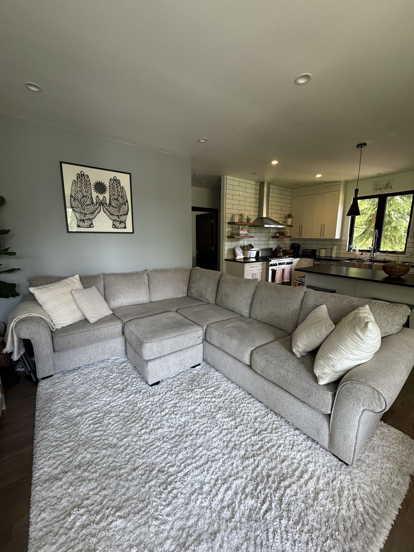 Large Sectional Couch