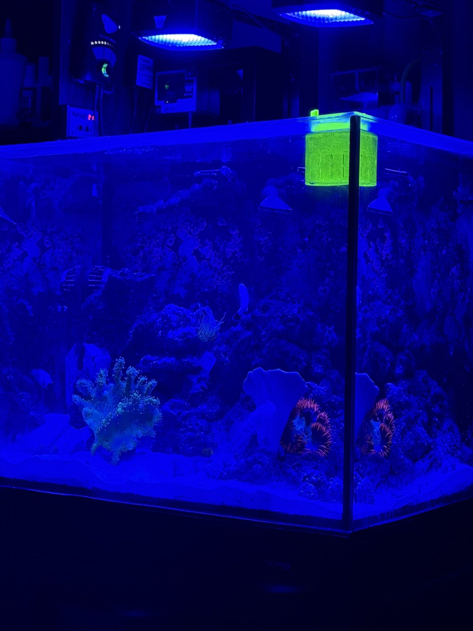 40 Gallon Innovative Marine 