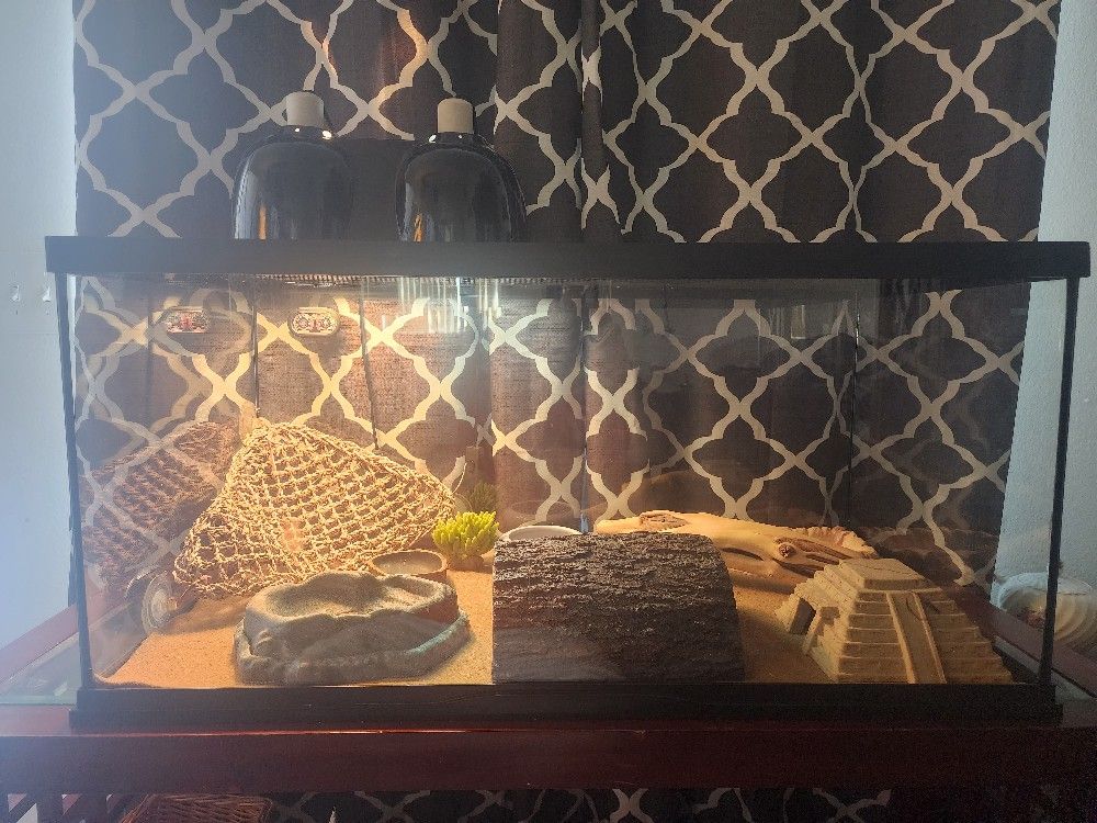 Reptile Terrarium 