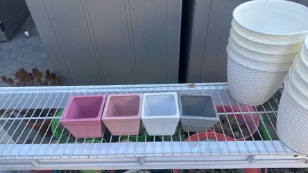 Flower Pot 4 Inches  Multiple Color 