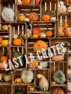 Rustic Wooden Crates for Halloween Party Decor, Baby Showers & Photo Shoots ($5)
