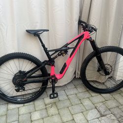 Specialized  2018 Enduro Elite 29/ 6Fattie