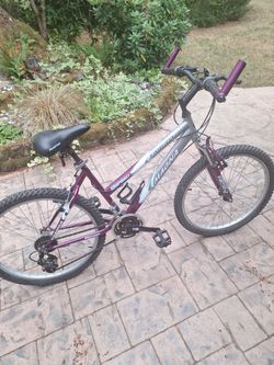 New Magna great divine 26 onch bike