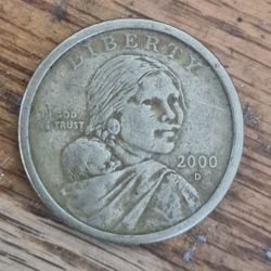 one dollar coin