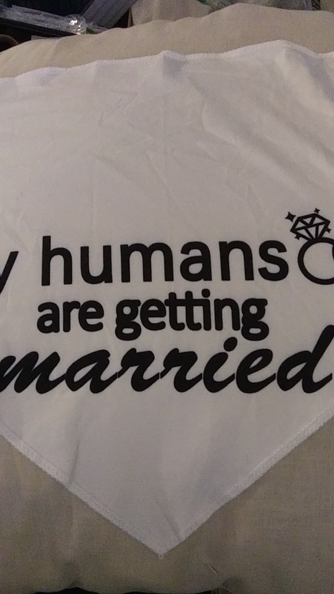 NEW DOG BANDANAS WEDDING