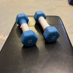 Two 2 lbs Dumbbells 