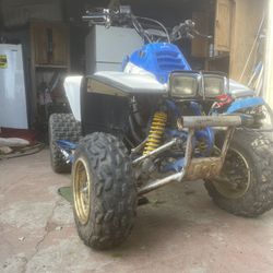 1989 Yamaha Warrior