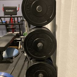 REP Fitness Commercial Quality Olympic Sized Weight Tree