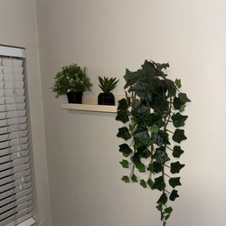 Wooden Wall Shelves 3 Pieces + 7 Fake Plants – Home Decor Set