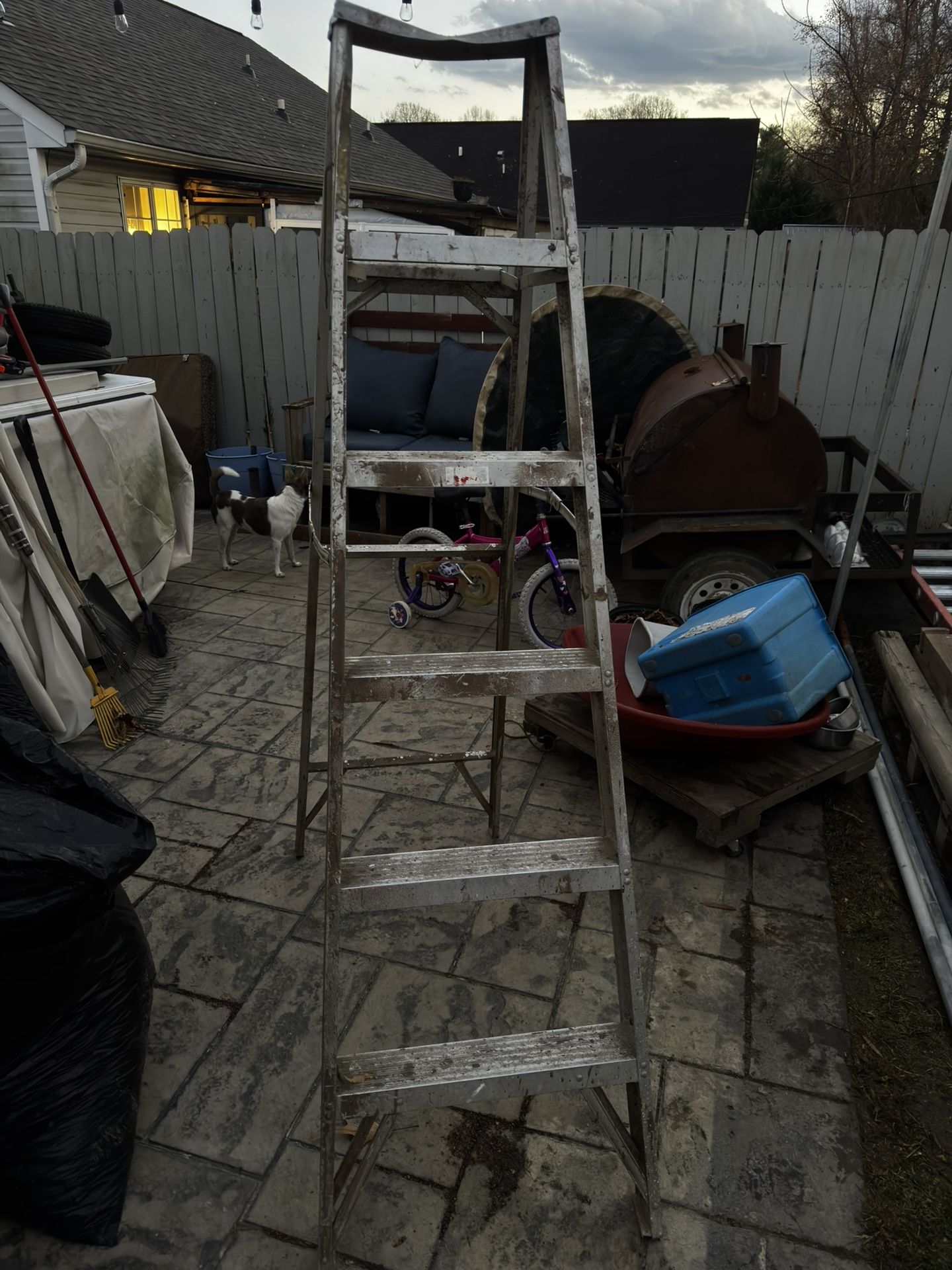 Ladder / Escalera  6 “