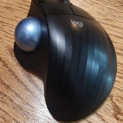 computer mouse 