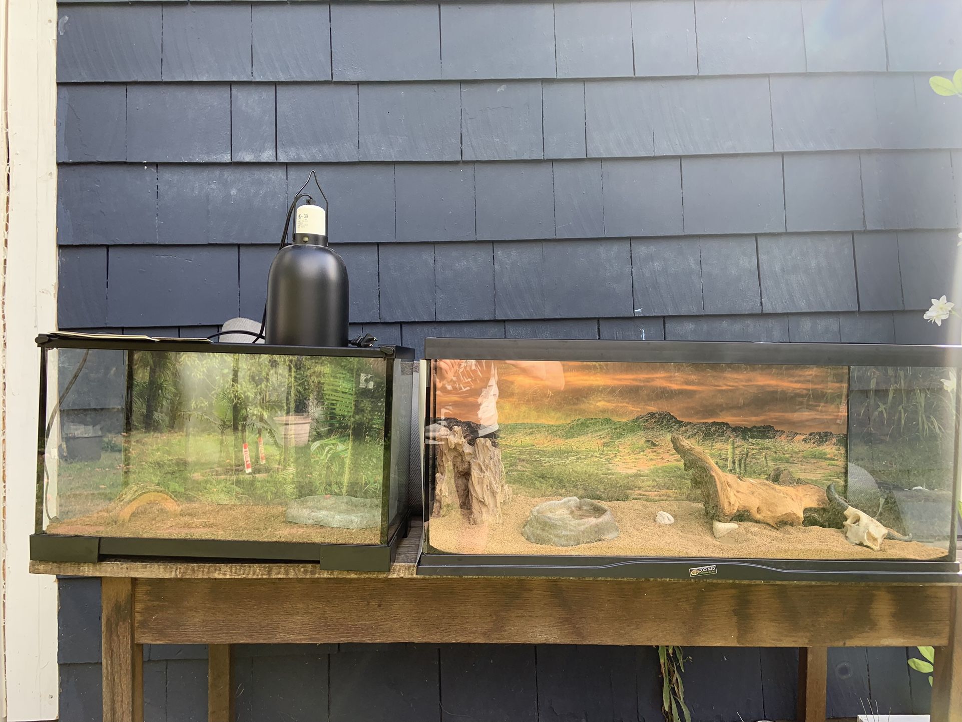 2 Reptile Enclosures (all Accessories Included )