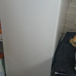 Stand Up Deep Freezer