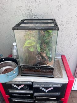 Reptile terrarium