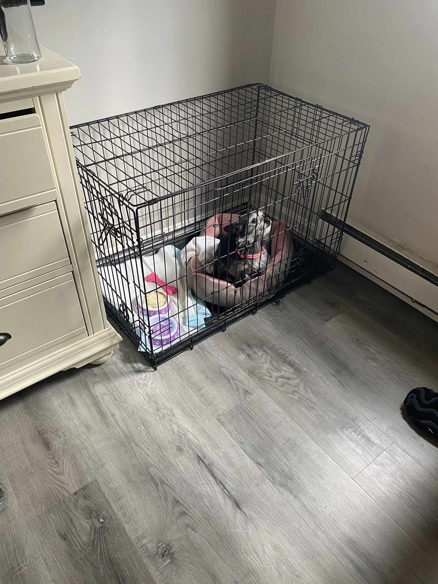 Big Dog Cage For Sale 