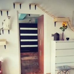 Amazing Cat Jungle - Cat Beds - everything pictured 