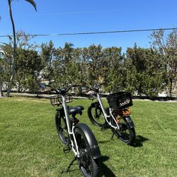 Electric Bike Rad Power RadRover Step-Thru