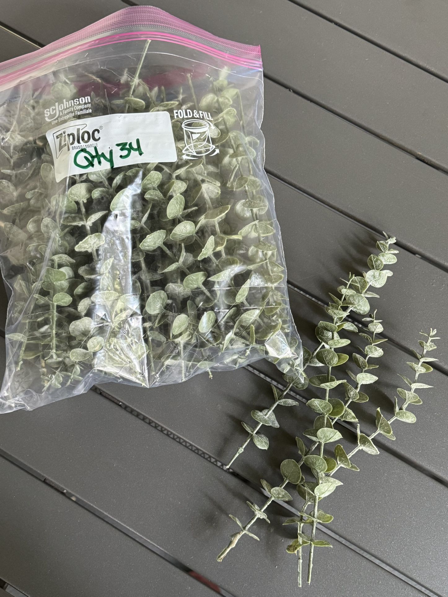Eucalyptus Stems