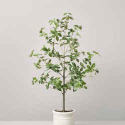 Farmhouse Plant Hearth & Hand