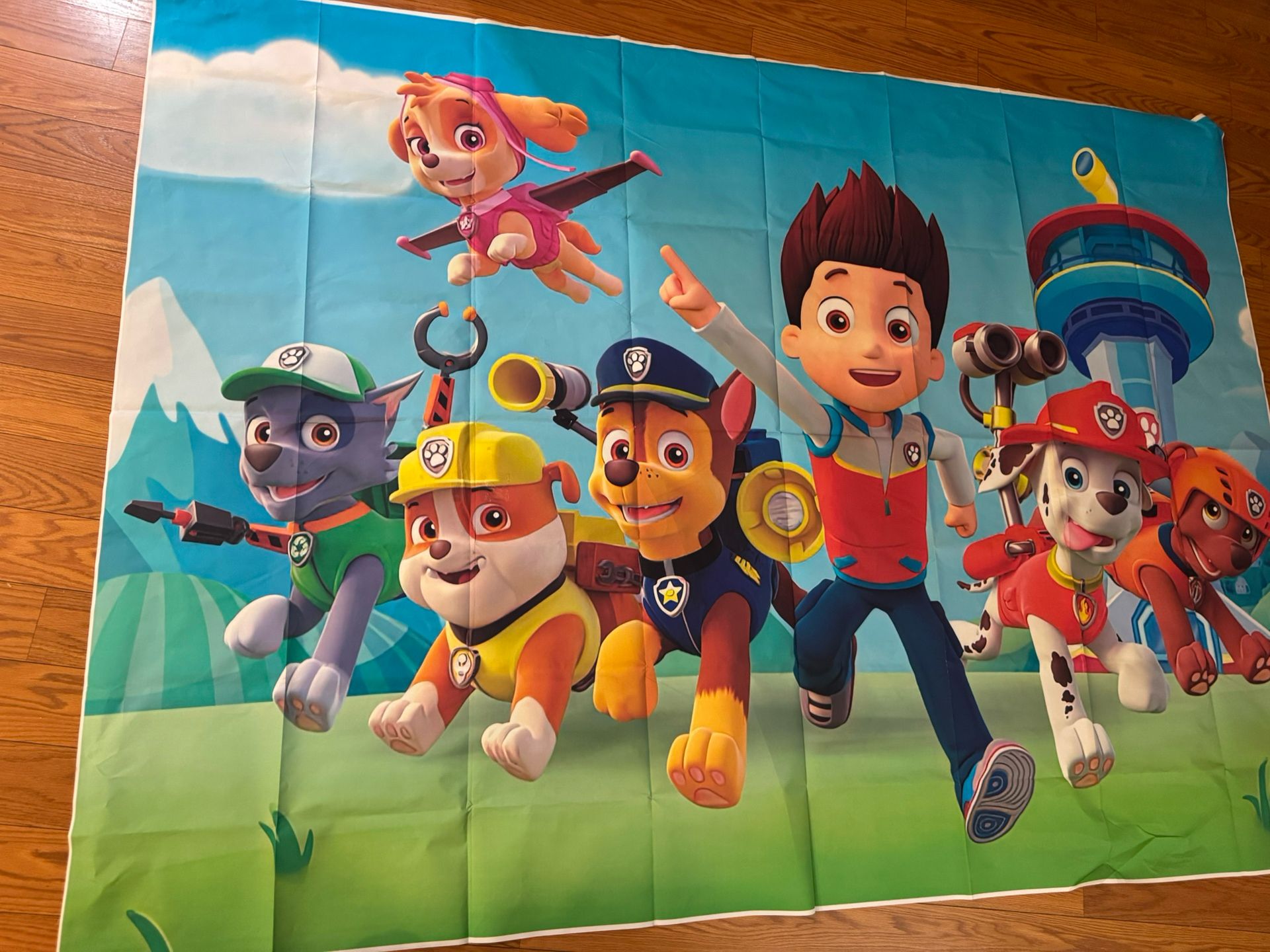 Paw Patrol Backdrop And Birthday Banner
