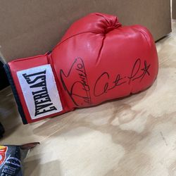 Canelo vs Austin Trout