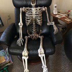 Skeleton..decorative..$30