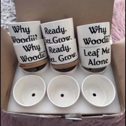 Succulent/ Hoya Ceramic pots (address in pics)