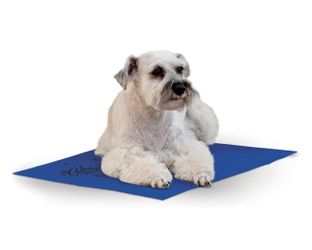 Cooling dog mat
