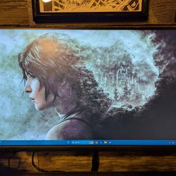 Dell 24 Inch Computer Monitor