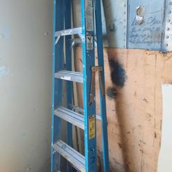 6' Fiberglass Ladder