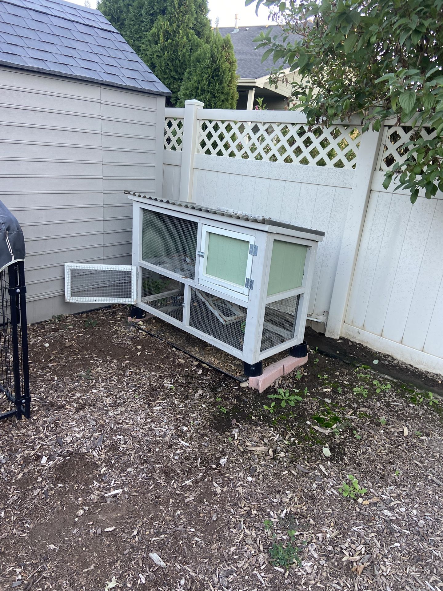 Bunny Cage, Decent Condition.