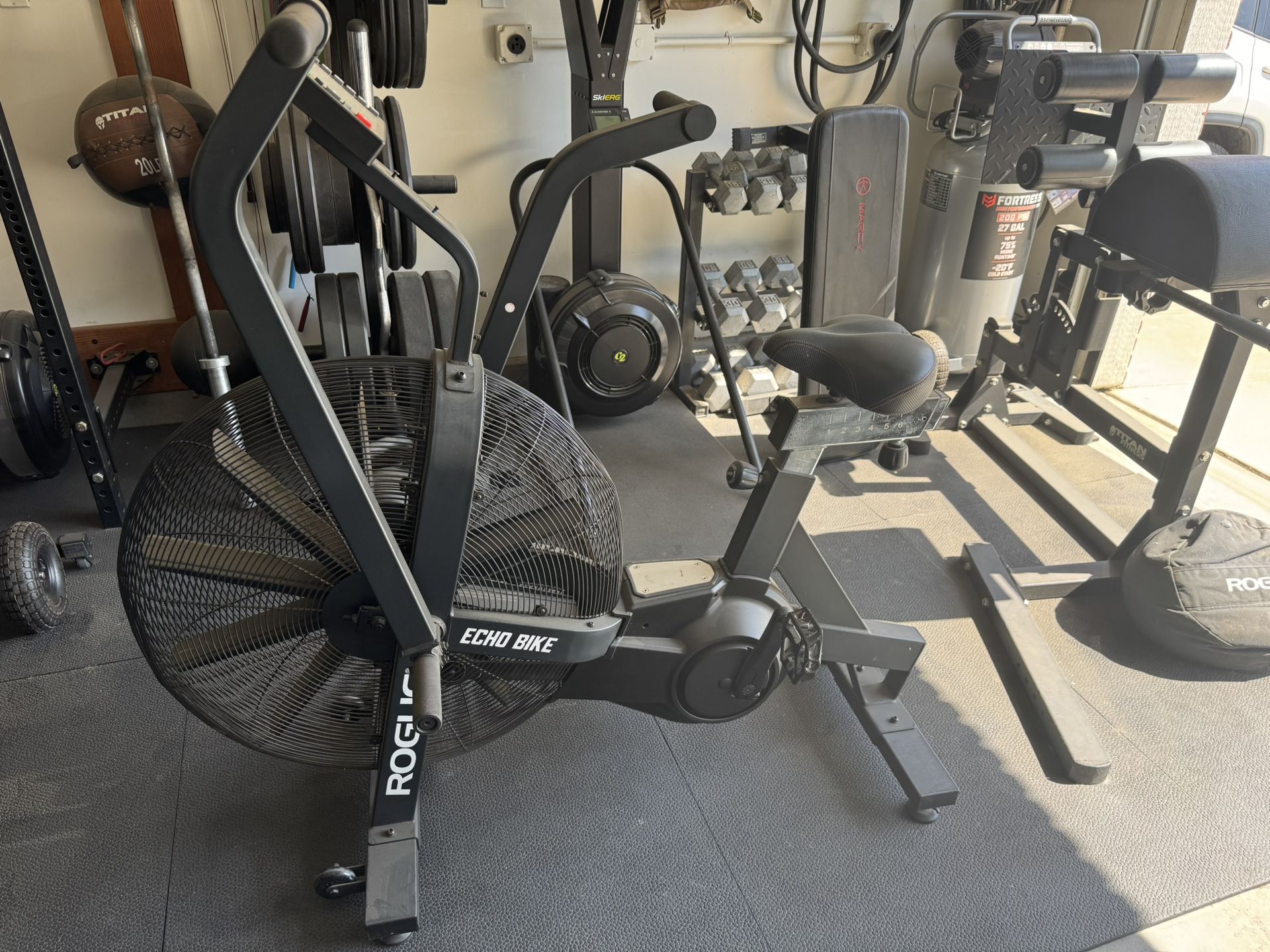 Rogue Ecobike
