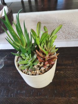 Decor