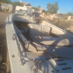 Boat With Ford 302 