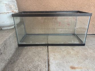 20 gal tall
