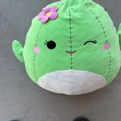 Cactus Stuffy 