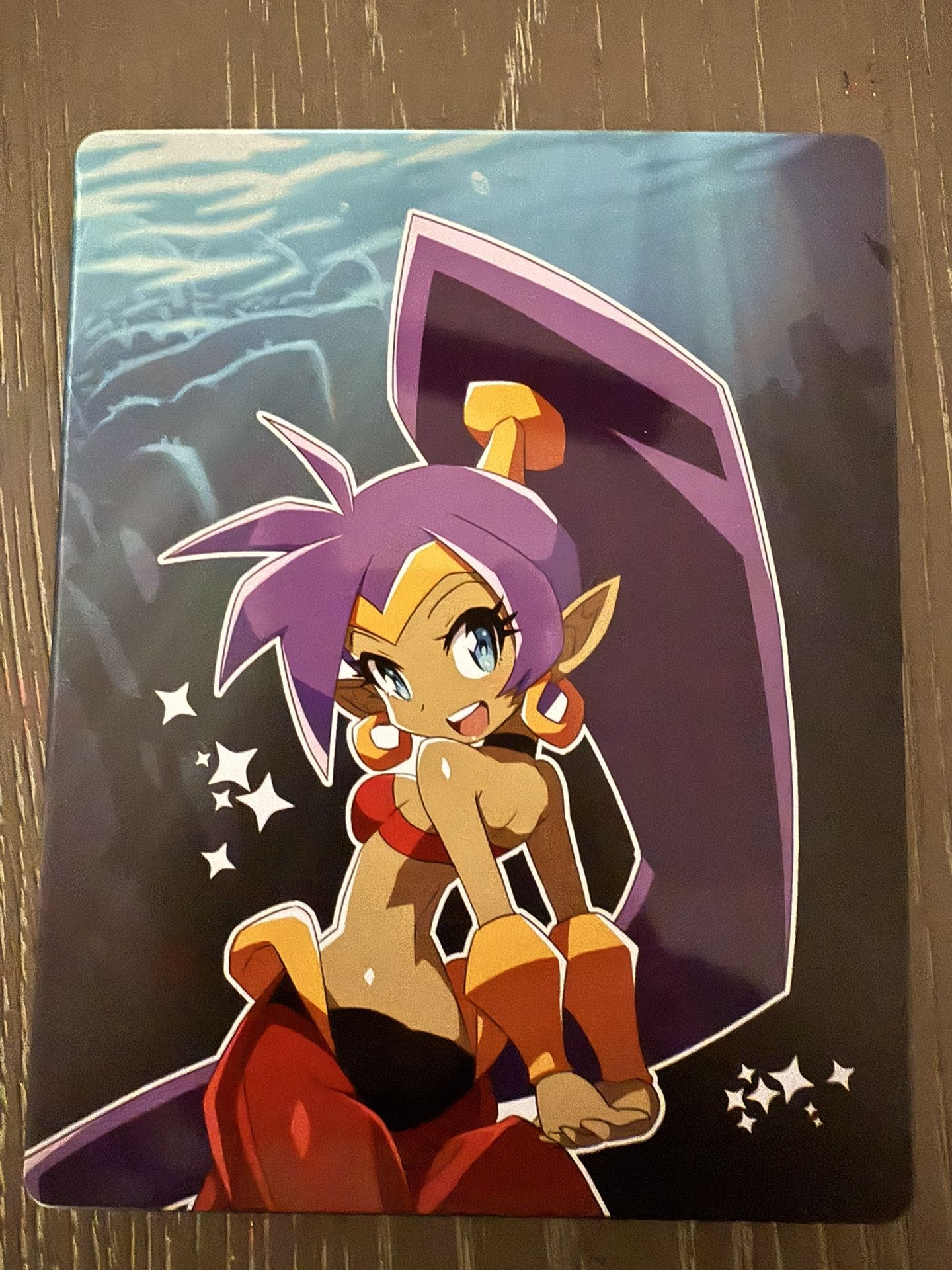 Shantae And The Seven Sirens PS4 Steelbook