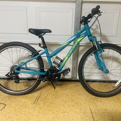 24” Specialized 