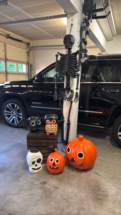 Halloween Decoration Set – Skeleton, Pumpkins, Owl, Skull
