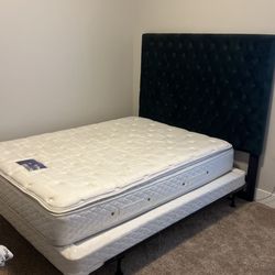 Queen Bed Set - Dark Green Velvet Headboard