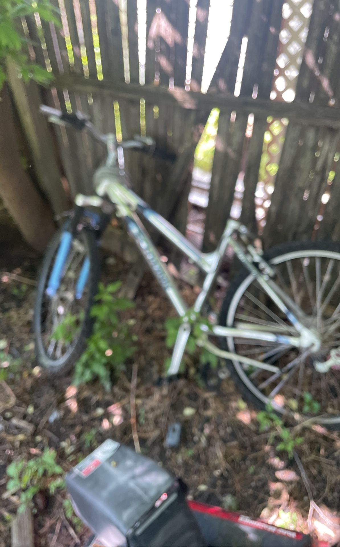 Schwinn Bike
