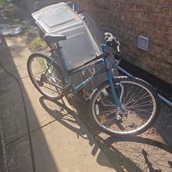 Giant 10 Speed Bike