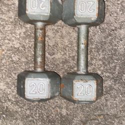 Set 20lbs Dumbbells