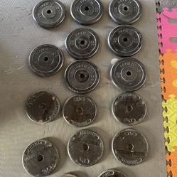 Weight Plates.       110 Dollars 