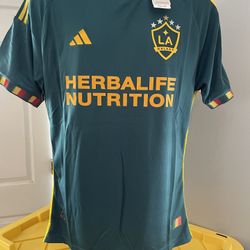 La Galaxy Away Jersey